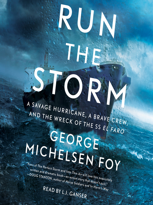 Cover image for Run the Storm